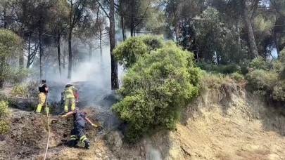 Gemlik'te çamlık alanda çıkan yangın kısa sürede söndürüldü