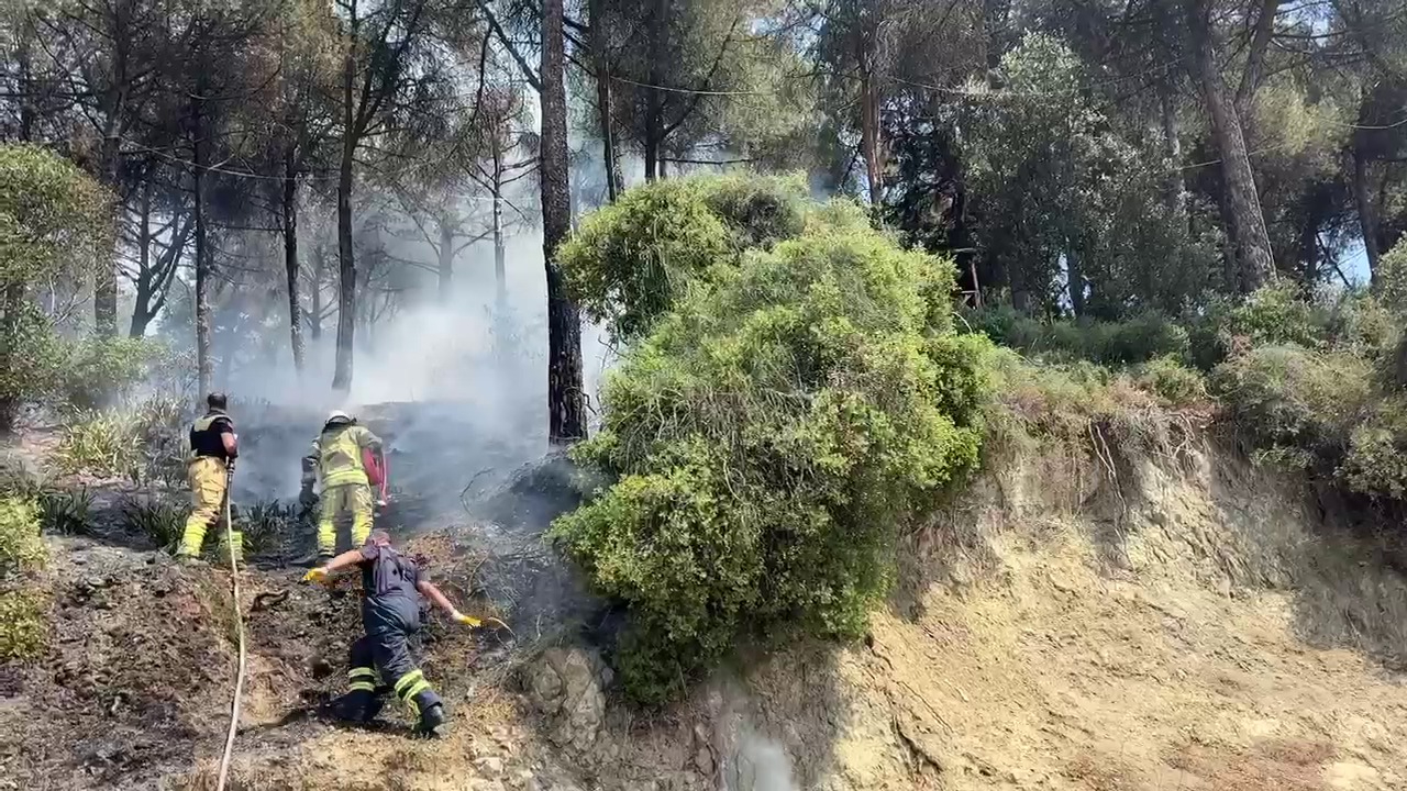 Gemlik'te çamlık alanda çıkan yangın kısa sürede söndürüldü