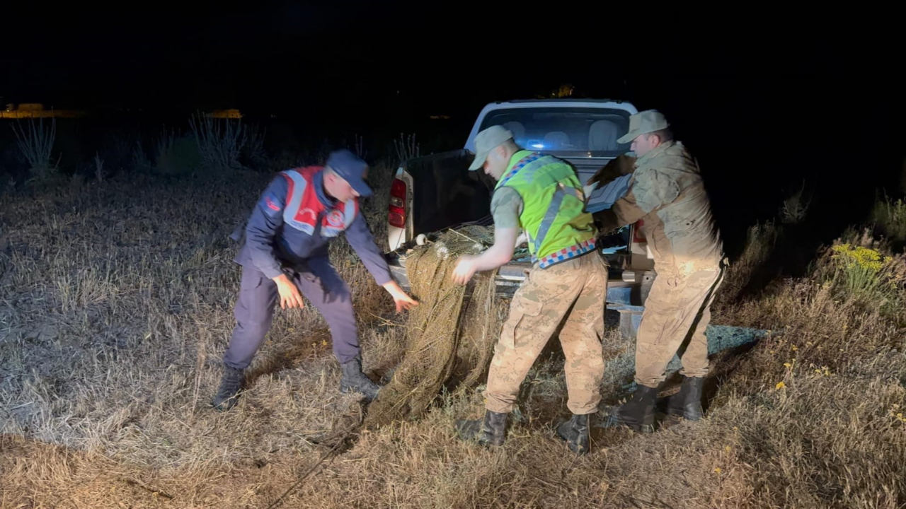 1,5 ton kaçak inci kefali ele geçirildi!