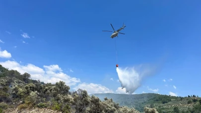 Zeytinlik alanda yangın çıktı!