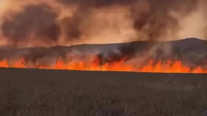 Anız yangını buğday tarlasını küle döndürdü!