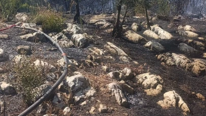 Yozgat'ta meydana gelen trafik kazasında 2 kişi yaralandı.