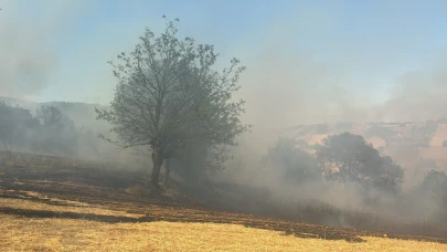 Kestel'deki orman yangını