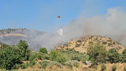 Nazilli'deki zirai alan yangını kontrol altına alındı