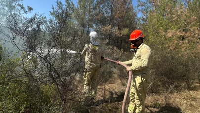 Adana'daki orman yangını kontrol altına alındı