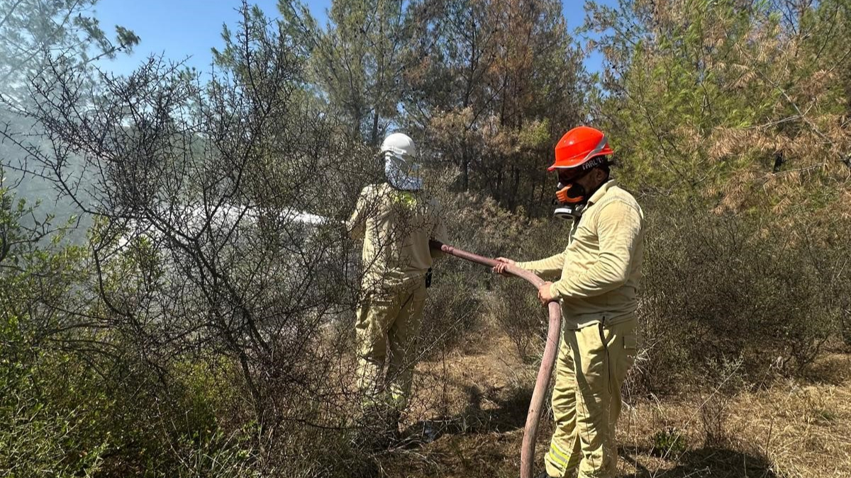 Adana'daki orman yangını kontrol altına alındı