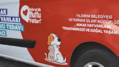 Yıldırım'da patili canlara mobil şefkat eli