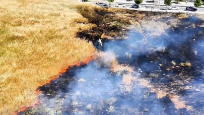 Otluk alanda çıkan yangın paniğe neden oldu
