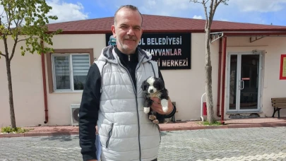 Başkan Taban'dan patili dostlar için mesaj: "Satın alma sahiplen"