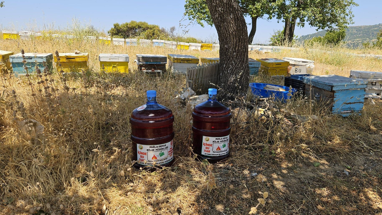 Aydın’da yangınlara damacana çözümü!
