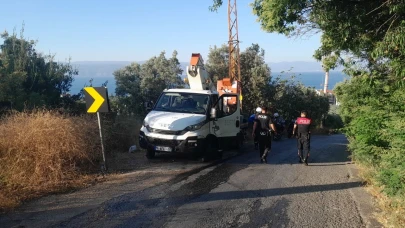 Bursa’da karga yangına neden oldu!