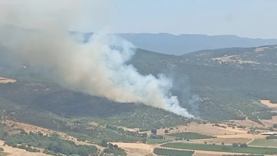 Kestel'de aynı ormanın aynı yerinde yine yangın çıktı