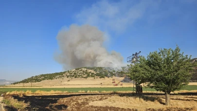 Anız yakarken suçüstü yakalanan şahsa 47 bin TL ceza