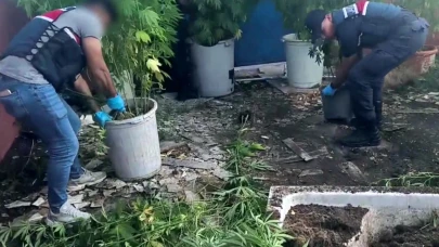 Sakarya'da uyuşturucu operasyonu! 1 tutuklama