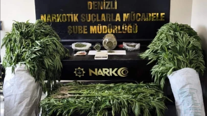 Bahçesinde 290 kök kenevir yetiştiren tacir tutuklandı