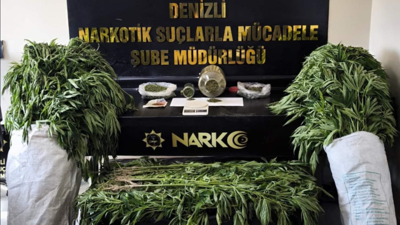 Bahçesinde 290 kök kenevir yetiştiren tacir tutuklandı