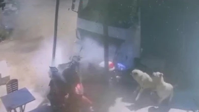 Çocuğun kullandığı kamyon ile ezilmekten son anda kurtuldu