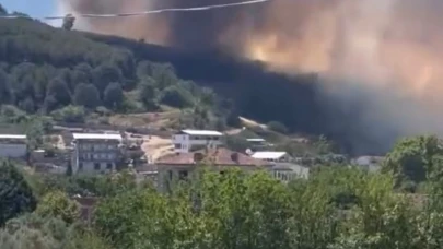 Bursa'da çam ormanı yanıyor