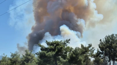 İzmir Bornova'da orman yangını!