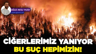 Ciğerlerimiz yanıyor ve bu suç hepimizin...
