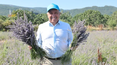 Nilüfer'den 4 bin kilogram lavanta hasadı