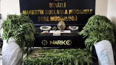 Bahçesinde Hint keneviri yetiştiren şüpheli tutuklandı