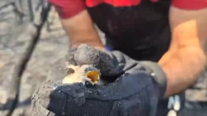 Bursa'da orman yangınında hayatta kalan kuş böyle kurtarıldı