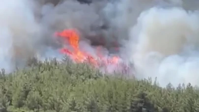 Manisa'da orman yangını rüzgarın etkisiyle büyüdü