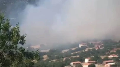 Kepsut'ta orman yangını!