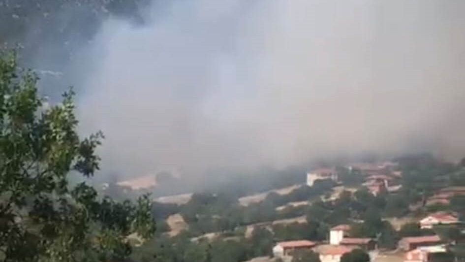 Kepsut'ta orman yangını!