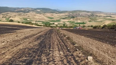 30 dönüm buğday tarlası yandı!