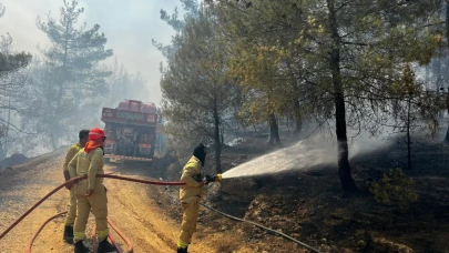 Sakarya'da başlayan orman yangını Osmaneli'ne de sıçradı