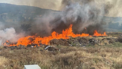Çanakkale'de korkutan yangın