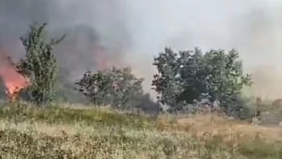 Düzce’de orman yangını: 5 hektarlık alan küle döndü