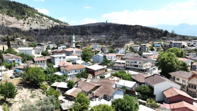 Zümrüt yeşili orman manzaraları kömürlüğe döndü
