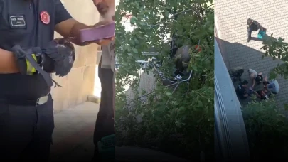 Yavru karga ağaca sıkıştı, çaresizce bekledi