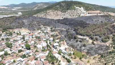 Bursa'daki yangınlarda 65 hektar küle döndü