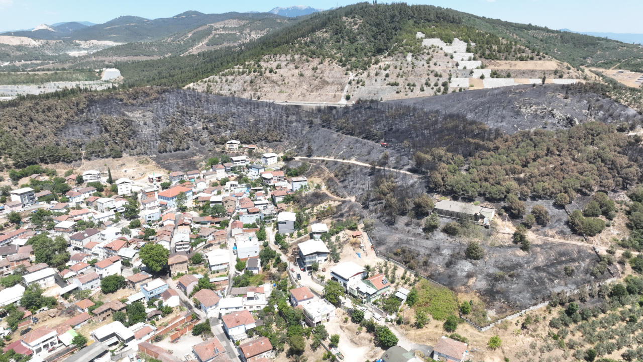 Bursa'daki yangınlarda 65 hektar küle döndü