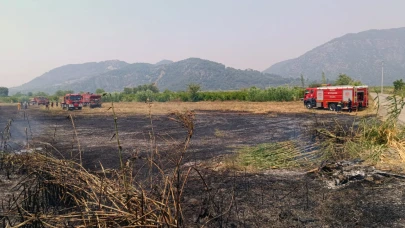 Muğla Ortaca’da sazlık yangını