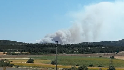 Çanakkale’de tarım arazisinde korkutan yangın