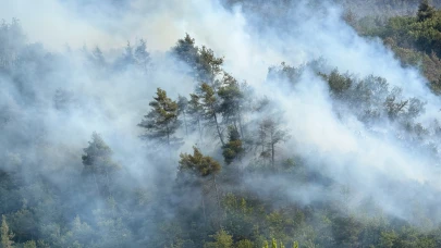 Sakarya’da devam eden yangına havadan ve karadan müdahale edildi