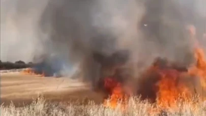 Edirne'de buğday tarlaları alev alev yandı