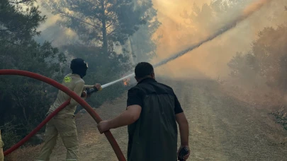 Orman yangınına havadan ve karadan müdahale
