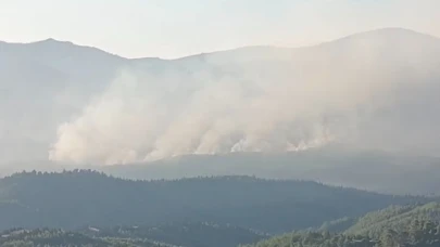 İzmir'deki orman yangını hala devam ediyor!