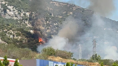 Bodrum'da yangın!