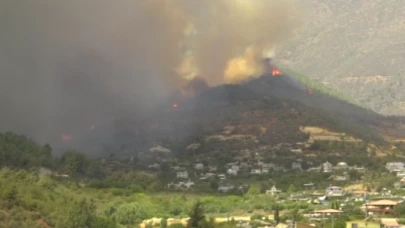 Hatay'da orman yangını