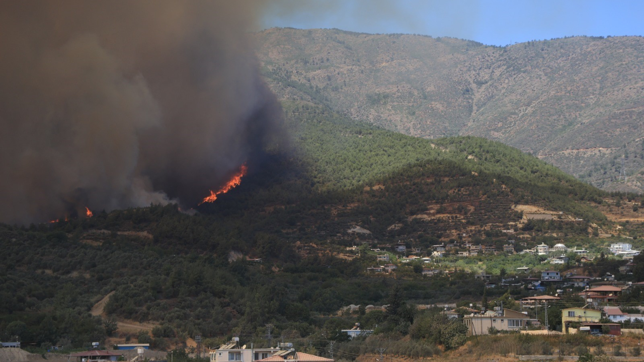 İzmir, Bilecik ve Hatay’daki orman yangınlarında 50 bin kişi tahliye edildi