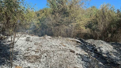 Ormanlık alanlara girişler yasaklandı