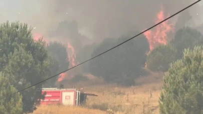 Bursa İznik'te orman yangını