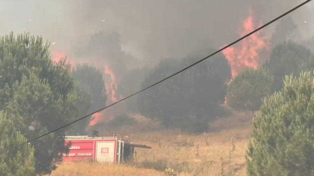 Bursa İznik'te orman yangını
